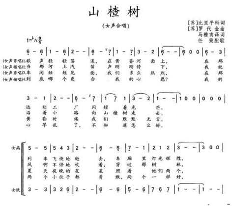 山楂树|山楂树（1953年苏联时期爱情歌曲）